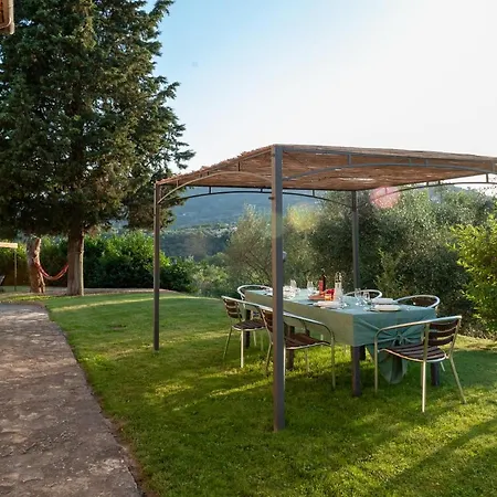 Elm Tree, Olive Brench And Cypress With Pool * Panicale